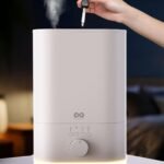 Everlasting Comfort 6L Humidifier
