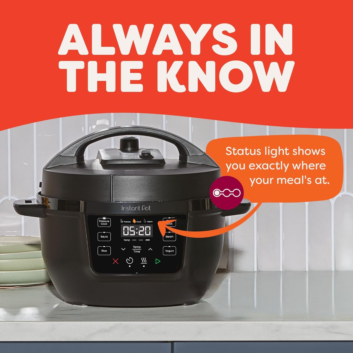 instant pot rio